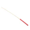 STURDY DISCIPLINE CANE
