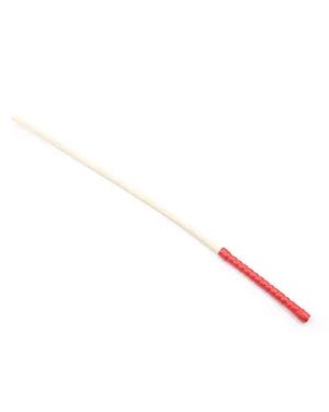 STURDY DISCIPLINE CANE